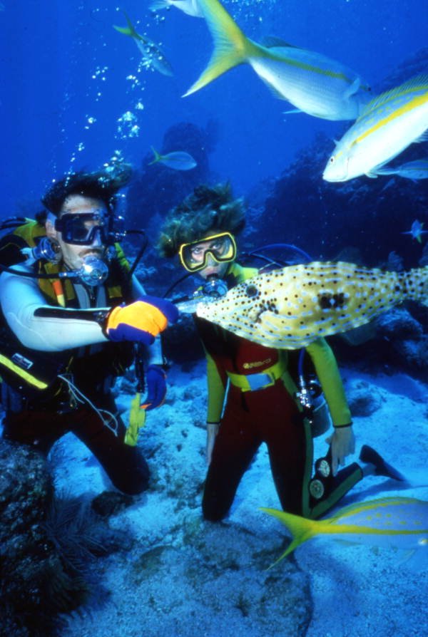 Plongée sous-marine Hurghada